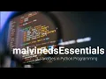 3 Variables in Python Programming