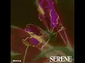 Serene - SIVIA