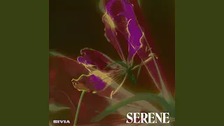 Download Serene MP3