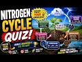 Nitrogen Cycle Quiz - Best Exam Review for Students