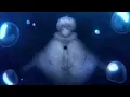 To Your Eternity Season 3 OP / Opening "Fumetsu no Anata" by Perfume [4K 60FPS]