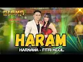 Lagu HARAM - FITRI KECIL - HARNAWA - OSAMA Musik - ANIJAYA AUDIO - Airin Digimedia