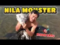 Download Lagu REKOR BARU! Ikan Nila RAKSASA, Strike di Spot Bangkai Kapal Batu 🔥 | Spearfishing Danau Toba