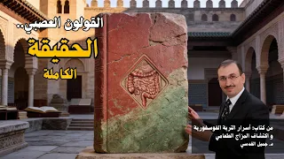 وثائقي القولون العصبي الحقيقة الكاملة،لم فحوصاتي طبيعية وأنا أتألم،اكتشافات مذهلة تغير فهمك بالكامل