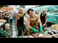 Download Lagu 🔥Preman Palak Tukang Ikan, Gak Tahu Dia Dewa Perang! Sekali Ngamuk, Semua Sujud Minta Ampun!#film