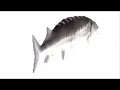 funky town low quality 3 Hours