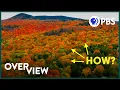 There s One Thing About Fall Colors Scientists Can t Explain