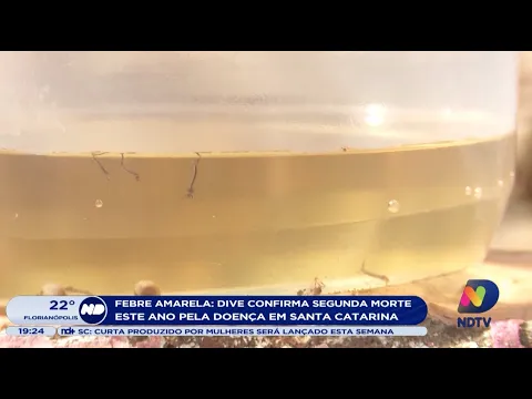 Febre Amarela: DIVE confirma segunda morte este ano pela doença em Santa Catarina