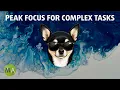 Peak Focus for Complex Tasks Drum and Bass Beta Isochronic Tones