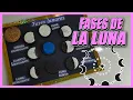 How to Make a Model of the Moon Phases with Oreo Cookies