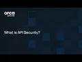 What Is API Security Orca Insights
