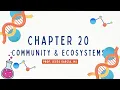 Chapter 20 - Communities and Ecosystems