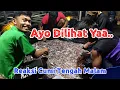 Lagu Reaksi Cumi Tengah Malam Di BAGAN
