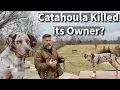 Catahoula Leopard Dog Killed Its Owner What went wrong