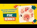 Exploring the Five Human Senses Sensory Superpowers Your Amazing Five Senses
