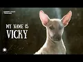Lagu MY NAME IS VICKY |TRAILER| AWARD-WINNING SHORT FILM | MANISH GARODI | RAJANI SHETTY | HIDDEN STORIES