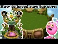 How to breed rare fur corn in my singing monsters plant island
