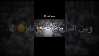 افراح بدوية بدو سيناء 