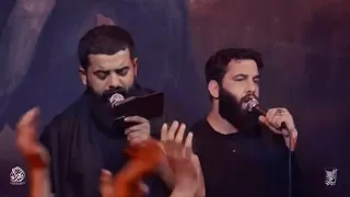 شفت المهر مايل دندنها