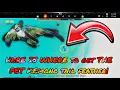 How to get the Pet Kemono Tail Feather Wild Hearts