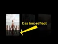 Image Reflect Effects On Hover Pure Css
