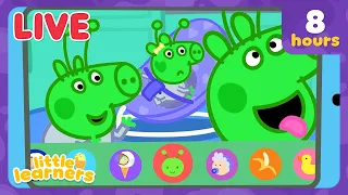 🔴 LIVE! Peppa Pig Learns About Life With Baby EVIE! 🍼🐷 | Peppa Pig Tales Full Episodes