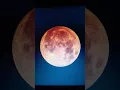 Download Lagu Blood Moon Red as roses