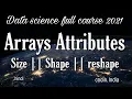 Shape and size of the array python numpy tutorial data science