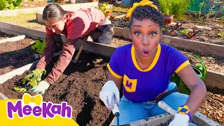 Learn to Take Care of the Earth with Meekah! 🌎♻️🪴