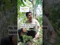 Download Lagu mau nya telur gulung terus 🤣🤣🤣 #shorts #remix #fyp #masukberanda #elhamndr-official