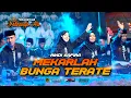 Download Lagu MEKARLAH BUNGA TERATE - RINDI SAFIRA X SHOLAWAT PADHANGE ATI MADIUN | PASTEL AUDIO | HS PRODUCTION