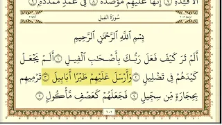 سورة الفيل مكررة    مرة ماهر المعيقلي دندنها