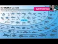 Download Lagu rTG Omega3