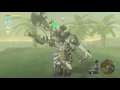Fastest way to farm Lynels I think