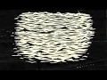 Vince Staples - Norf Norf