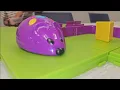 Learning Resources Code Go Robot Mouse Activity Set