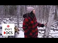 The power of a tree why birch and its bark are so important to Anishinaabe culture Wiigwaasabak
