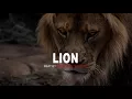Download Lagu LION Hard Trap Beat Instrumental  Dark Trap Rap Beat Instrumental  Newstreetmelody