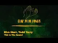Riva Starr, Todd Terry - This Is The Sound