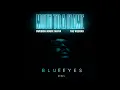 Swedish House Mafia and The Weeknd - Moth To A Flame (Blueeyes Remix)