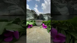  العله اللي ماتعالج بالعلاج دندنها