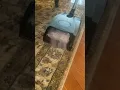 Rainbow Vacuum SRX Aquamate Shampooer