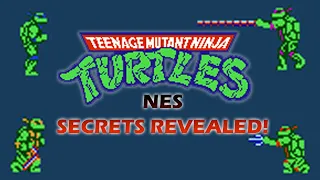 Teenage Mutant Ninja Turtles - TMNT