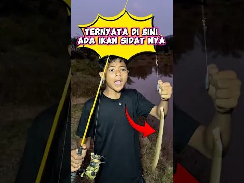 Mancing ikan sidat #wakmi #mancing #komedi  #videolucu #ikansidat #lucu #funny