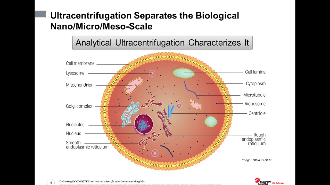 An Introduction to characterization of biomolecules using analytical ultracentrifugation
