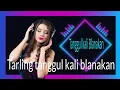 Download Lagu tanggul kali blanakan citra nada, tanggul kali blanakan original