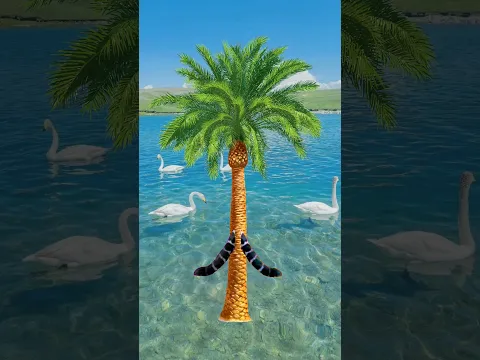 Gojol vfx video islamic #shorts #ytshorts