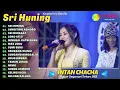 INTAN CHACHA - SRI HUNING - LUNGITING ASMORO | KOMPILASI LANGGAM CAMPURSARI KOPLO TERBARU 2023