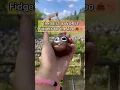 The BEST WORST Fidgets to Bring to a Zoo