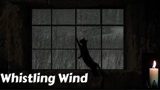 Cold Wind Whistling Through Leaky Window Good For Insomnia Relaxation Tinnitus And Meditation 
